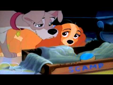 Lady and the Tramp 2: Scamp's Adventure -- Always There (Malay)