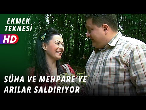 BEES ATTACK SUHA AND MEHPARE | BREAD BOAT EPISODE 30