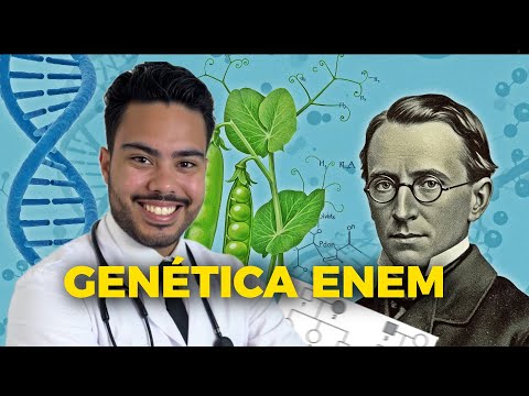 1ª LEI DE MENDEL e HEREDROGRAMA: O que você PRECISA saber para o ENEM!