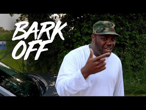 Ozone Media: Ace1 [BARK OFF]