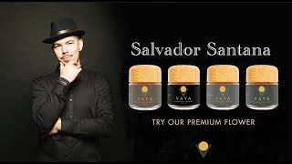 CANNABIS BRAND | SALVADOR SANTANA