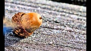 Micky and the Motorcars - "Pointless Love"