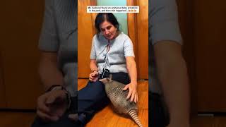 He Adopted An Armadillo