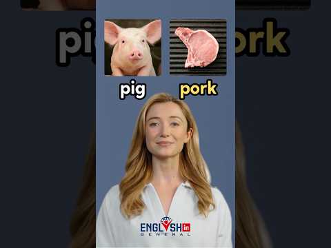 Animals and Their Meat Names in English