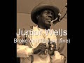 Junior Wells-Broke and Hungry (live)