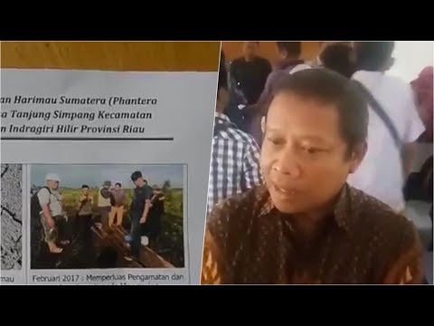 Apa olahraga meningkatkan potensi Patogen untuk pria membeli di Krasnodar