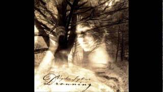 Vigilia Septima - Out of Memory