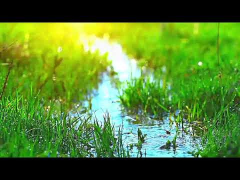 Hidayah Taufik Tidak Di Tangan Kita - Ust. Erwandi Tarmizi