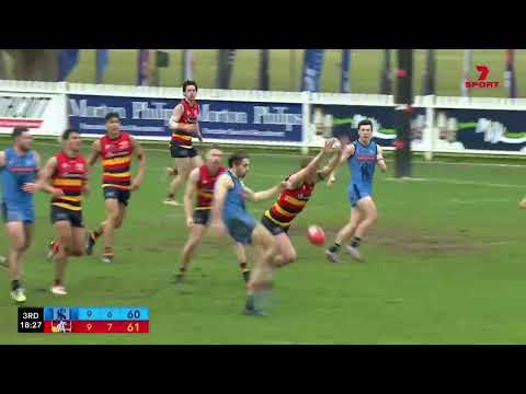 Rd 17 Hostplus SANFL Snapshot - Sturt's Daniel Fahey Sparks snaps truly