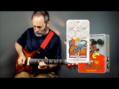 Terminus - Ambient Guitar Meditation 17-13 (EHX Canyon Delay, EHX Cock Fight)