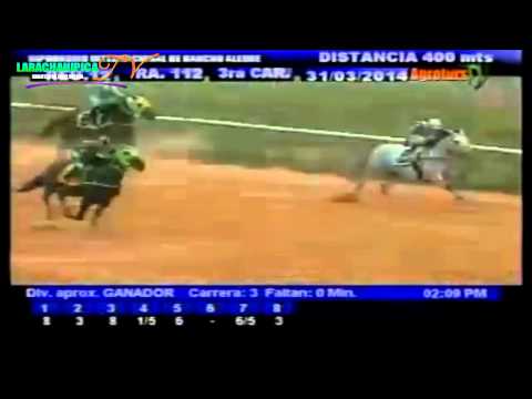 RANCHO ALEGRE 3 CARRERA LUNES 31 MARZO DEL 2014
