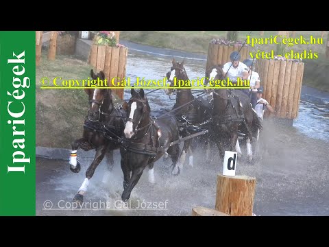 Fogathajtás, GEERTS Glenn (4), BEL, 7s, Marathon, 4K, Bp, 2021, sv4K210904-1-1874-221102