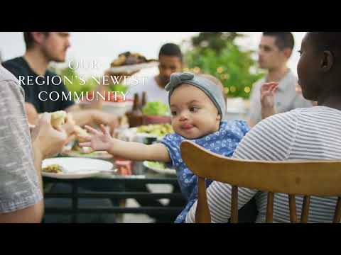 Elevon Video