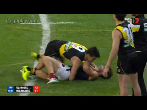 Richmond vs Demons fight 2017