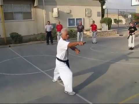 Nakandakari no Sai  (front view) - Nishime Sensei