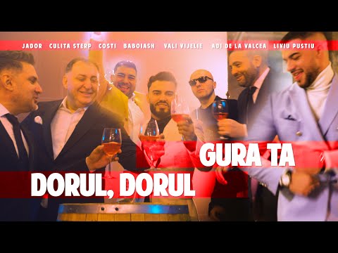 Jador ❌ Culita Sterp ❌ Costi ❌ Baboiash ❌ Vali Vijelie ❌ Adi de la Valcea ❌ Liviu Pustiu - Gura Ta