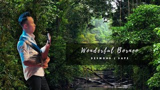 Download lagu Wonderful Borneo | Thambunesia | Desmond J | Sape Cover mp3