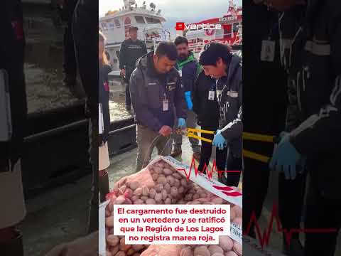 Decomisan en Calbuco almejas con marea roja extraídas fuera de la región