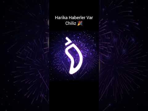 CHZ - Chiliz Coin Mega Boga