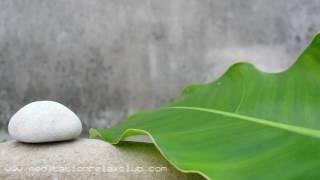 Zen Garden 8 HOURS Asian Spa Music Meditation with Instrumental Healing Spiritual New Age Sounds