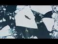 How Killer Whales Attack A Seal On A Large Iceberg