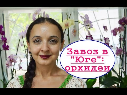 ОРХИДЕИ:Каода,БигЛипы,ПРЕКРАСНЫЙ ЗАВОЗ в "Юге"!(07.09.19)Самара,ул.Авиационная,8