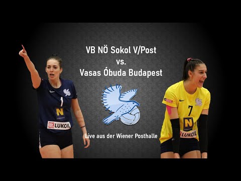 Sokol Damen vs. Vasas Óbuda Budapest