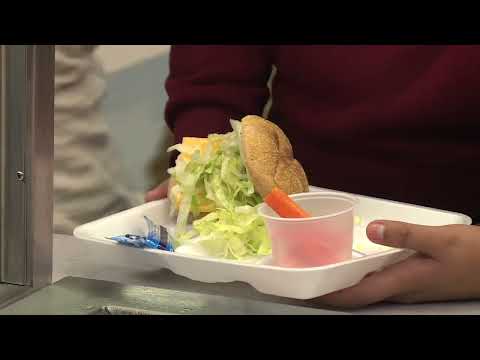 NJ Summer EBT Benefits