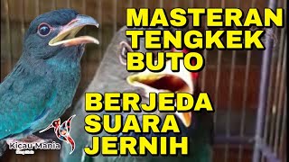 Download lagu Masteran Tengkek Buto Suara Jernih Berjeda #masteranjernih  mp3