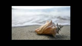 ALIVE-Appetizer