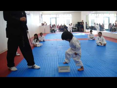 3-Year-Old Tries to Break Board in Taekwondo | Taekwondo Kid