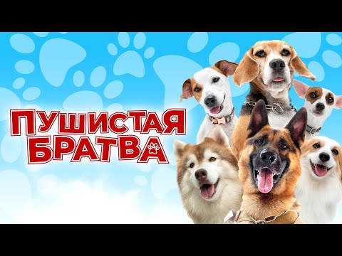 Трейлер