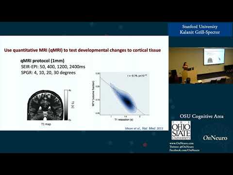 Kalanit Grill-Spector: Neural Mechanisms of Childhood Development of High-Level Visual Cortex