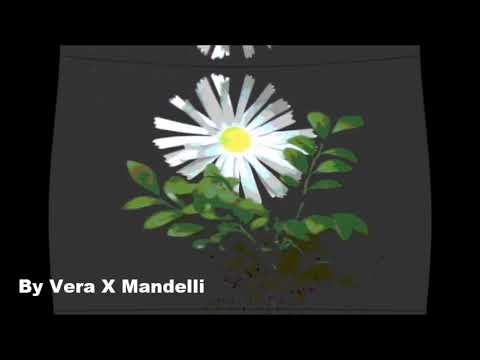 VERA X * PESSOA * ' COVER /  A CAPELLA '