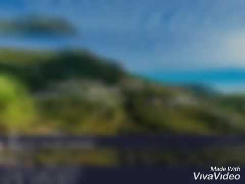 Ni leh Thla leh Arsi(Kc. Runremsangi - 1986)