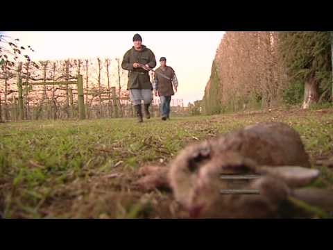 Hunting Aotearoa S1 Ep13 teaser.mov