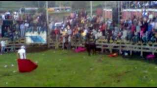 preview picture of video 'FESTIVAL TAURINO RUMIPAMBA 2012.mp4'