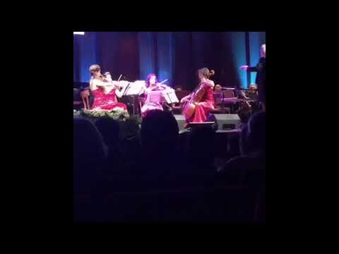 Alter Echo String Quartet & Roby Facchinetti