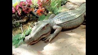 Toscano Garden Statues: Gargoyles, Bigfoot and Meerkats, oh my!