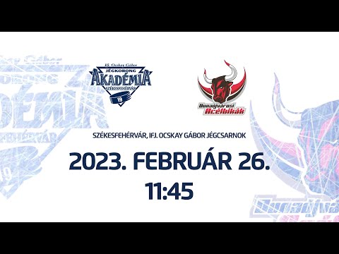 U12 Sárga | Ifj. Ocskay Gábor JA B - Dunaújvárosi Acélbikák