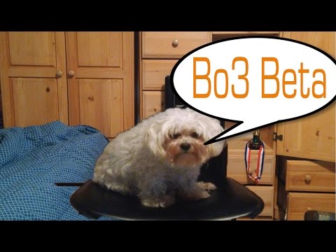 Dogs Opinions On Youtubers Getting BO3 Early