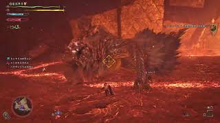 [モンハンワイルズ]アーティアパーツと珠集め参加型