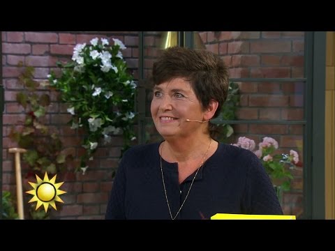Triss: Karin hoppas på storvinst för att göra något lite extra med barnen - Nyhetsmorgon (TV4)