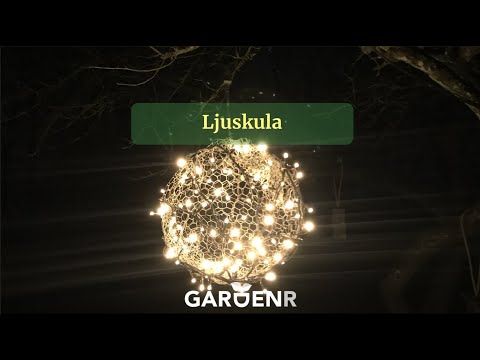 Ljuskula - Trädgårdshacks med GardenR