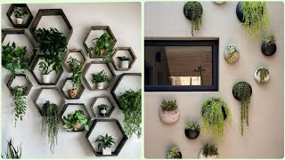 Stunning Indoor Wall Plant Ideas to Breathe Life into Your Space