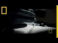 CIA Mind Control | CIA Secret Experiments CIA Mind Control | CIA Secret Experiments