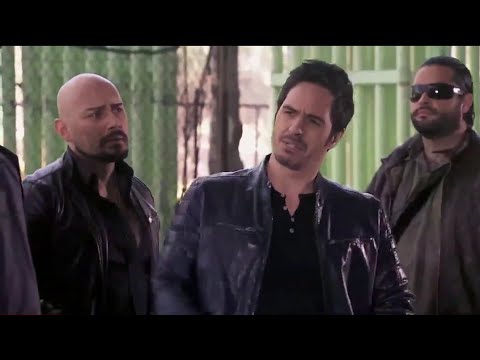 ESDLC 3 Cap 1/4/5 - El Chema Venegas encuentra nuevos socios en Haiti