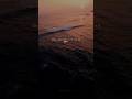 Malang Sajna Song Lyrics Status ️ Malang Sajna Slowed Reverb Status Shorts Lyricvideo Lyrics
