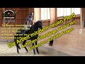 Despo 1 Introducing The New Horse Trouble Mounting Learning How To Work With Young Horses