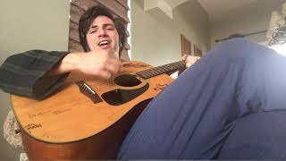 Harry Chapin - They Call Her Easy